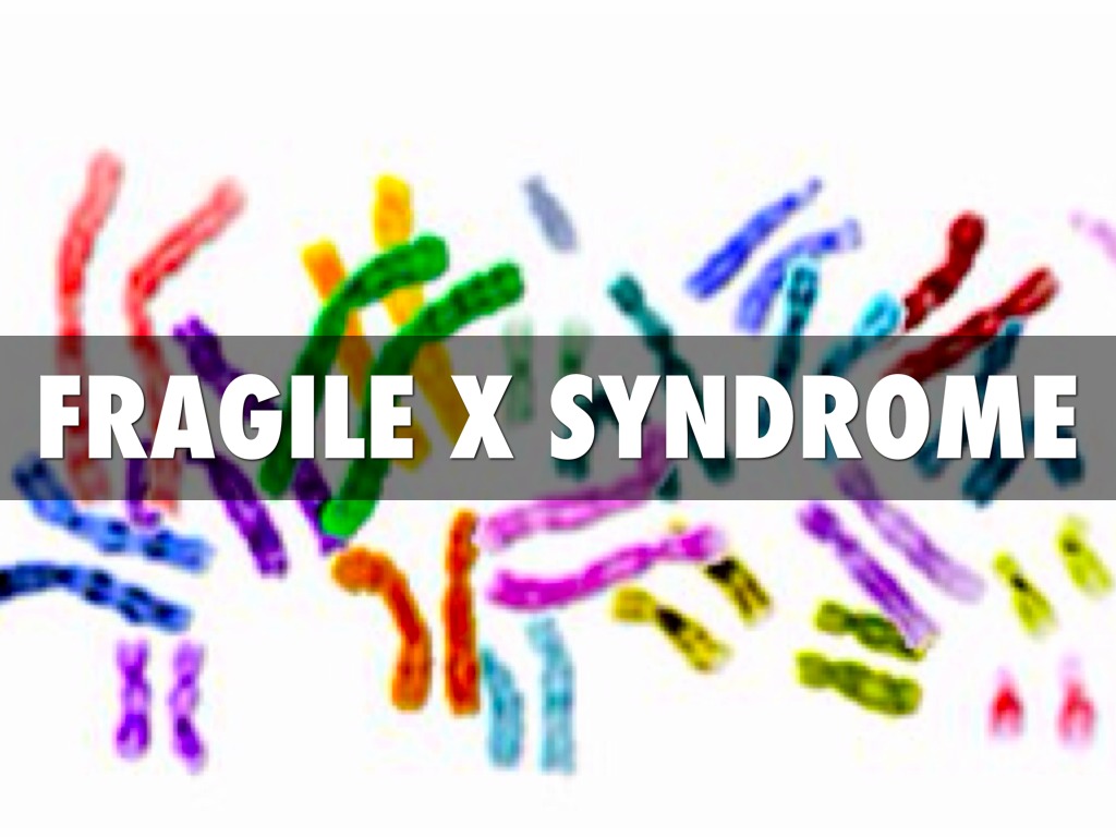 9bb6bfd3-105a-4787-b759-047edb1ed7d2